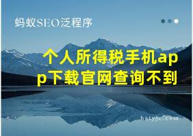 个人所得税手机app下载官网查询不到