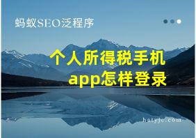 个人所得税手机app怎样登录