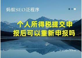 个人所得税提交申报后可以重新申报吗