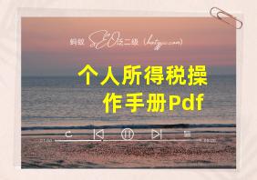 个人所得税操作手册Pdf