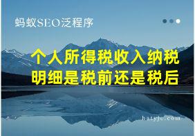 个人所得税收入纳税明细是税前还是税后