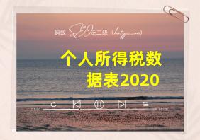 个人所得税数据表2020