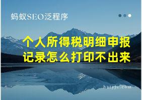 个人所得税明细申报记录怎么打印不出来