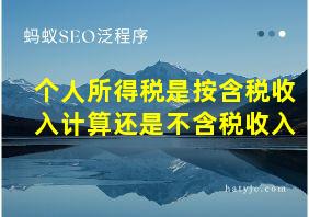 个人所得税是按含税收入计算还是不含税收入