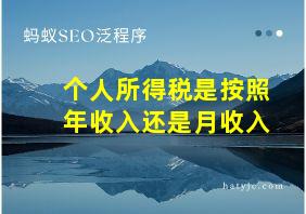 个人所得税是按照年收入还是月收入