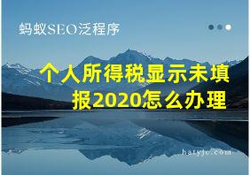 个人所得税显示未填报2020怎么办理