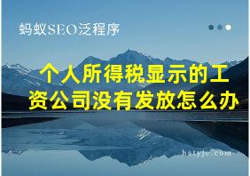 个人所得税显示的工资公司没有发放怎么办