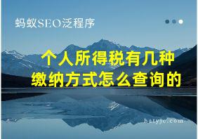 个人所得税有几种缴纳方式怎么查询的