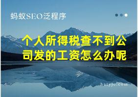 个人所得税查不到公司发的工资怎么办呢