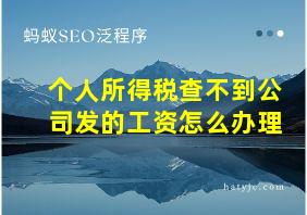 个人所得税查不到公司发的工资怎么办理