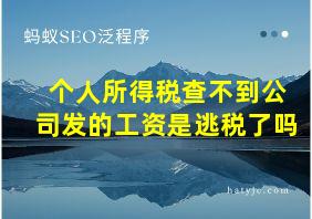 个人所得税查不到公司发的工资是逃税了吗