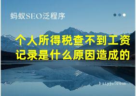 个人所得税查不到工资记录是什么原因造成的