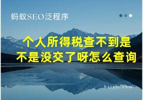 个人所得税查不到是不是没交了呀怎么查询