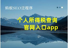 个人所得税查询官网入口app