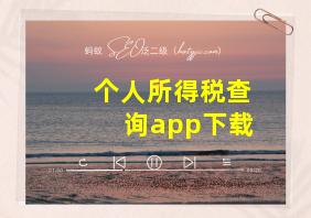 个人所得税查询app下载