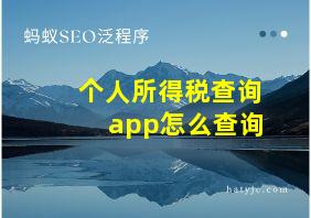 个人所得税查询app怎么查询