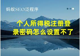 个人所得税注册登录密码怎么设置不了