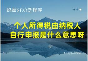 个人所得税由纳税人自行申报是什么意思呀