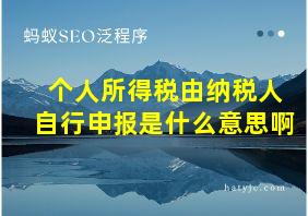 个人所得税由纳税人自行申报是什么意思啊