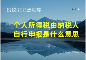 个人所得税由纳税人自行申报是什么意思