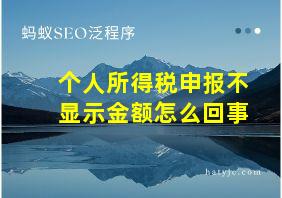 个人所得税申报不显示金额怎么回事