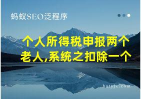 个人所得税申报两个老人,系统之扣除一个