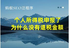 个人所得税申报了为什么没有退税金额