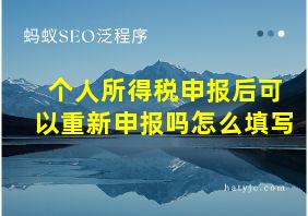 个人所得税申报后可以重新申报吗怎么填写