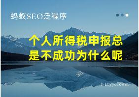 个人所得税申报总是不成功为什么呢