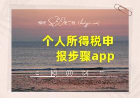 个人所得税申报步骤app