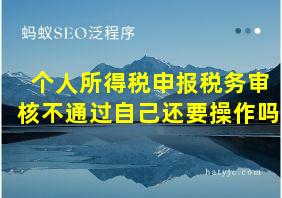 个人所得税申报税务审核不通过自己还要操作吗