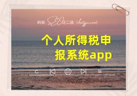 个人所得税申报系统app