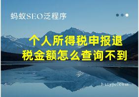 个人所得税申报退税金额怎么查询不到