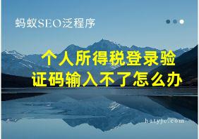 个人所得税登录验证码输入不了怎么办