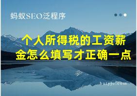 个人所得税的工资薪金怎么填写才正确一点