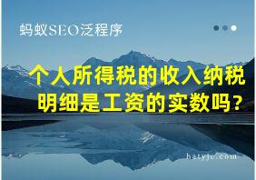 个人所得税的收入纳税明细是工资的实数吗?