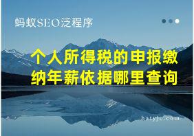 个人所得税的申报缴纳年薪依据哪里查询