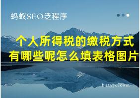 个人所得税的缴税方式有哪些呢怎么填表格图片