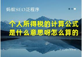 个人所得税的计算公式是什么意思呀怎么算的