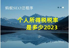 个人所得税税率是多少2023