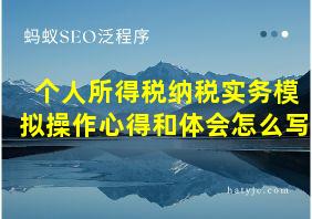 个人所得税纳税实务模拟操作心得和体会怎么写