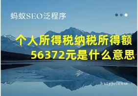 个人所得税纳税所得额56372元是什么意思