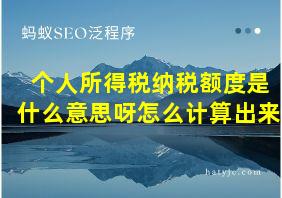 个人所得税纳税额度是什么意思呀怎么计算出来