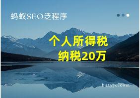 个人所得税纳税20万