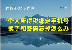 个人所得税绑定手机号换了和密码忘掉怎么办