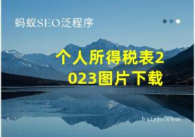 个人所得税表2023图片下载