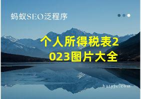 个人所得税表2023图片大全