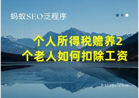 个人所得税赡养2个老人如何扣除工资