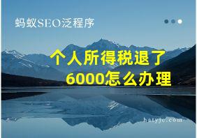 个人所得税退了6000怎么办理