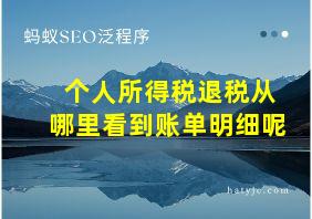 个人所得税退税从哪里看到账单明细呢